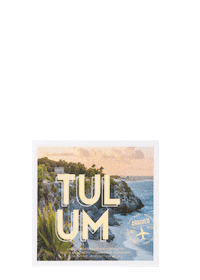 Puerto Rico Beauty Sticker by BHCosmetics