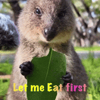 Eating GIF