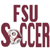 college sports football Sticker by Florida State University