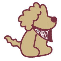 Florida State Seminoles Sticker by Jacksonville Seminole Club