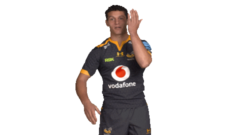 Rugby Sticker by Wasps