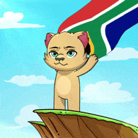 South Africa Afrikaans GIF by Kabu