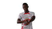 Come On Football Sticker by RB Leipzig