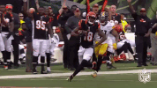 Cincinnati Bengals Football GIF by NFL