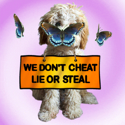 Puppy Liar GIF