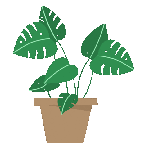 emmagubitzdesigns green plant monstera house plant Sticker