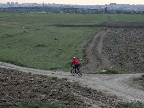 HoskarXTK giphygifmaker olympus om-d e-m1 mark iii GIF