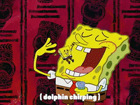 season 3 GIF by SpongeBob SquarePants