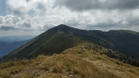 strymba GIF