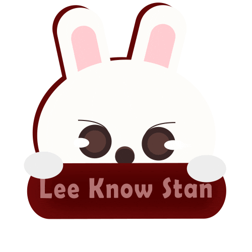 Stray Kids Stay Sticker