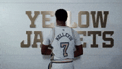 Georgia Tech Adidas GIF by Georgia Tech Yellow Jackets
