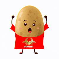 agroindustriapeimbert peimbert papa peimbert somos peimbert GIF