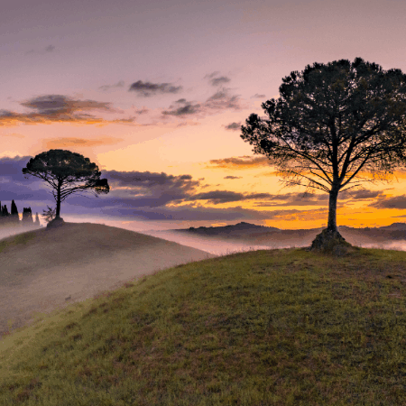 kirk-shaw giphygifmaker giphyattribution GIF