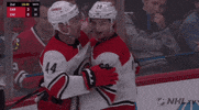 ice hockey GIF by NHL
