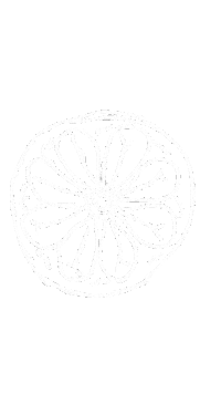 Rio Do Sul Padres Sticker