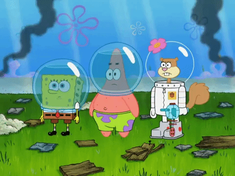 season 8 episode 13 GIF by SpongeBob SquarePants