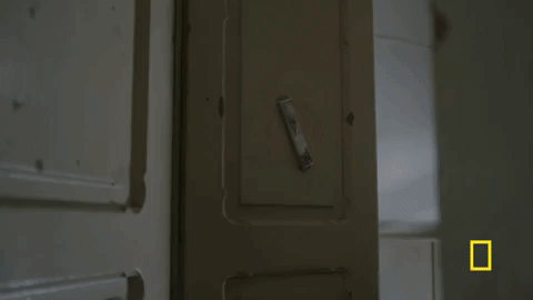 genius GIF by National Geographic Channel