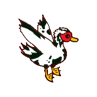 Ducks Sticker