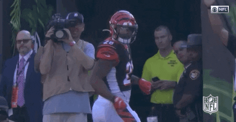 Regular Season Football GIF by NFL