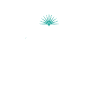 Summer Friday Sticker by PFA Tequila