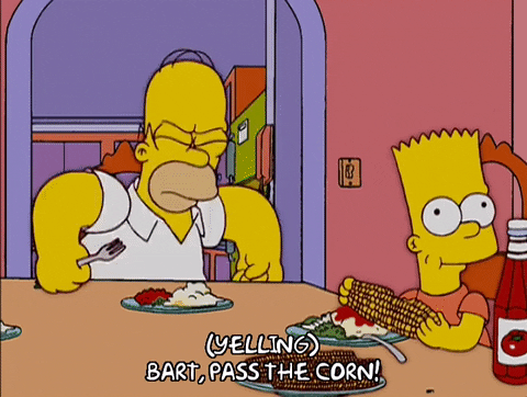 homer simpson episode 21 GIF