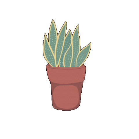 Ivonne_Rode giphyupload green plant houseplant Sticker
