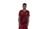 Red Devils Football Sticker by Royal Belgian FA