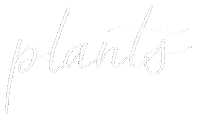 Plant Sticker