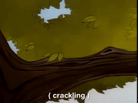 nicksplat ren and timpy GIF