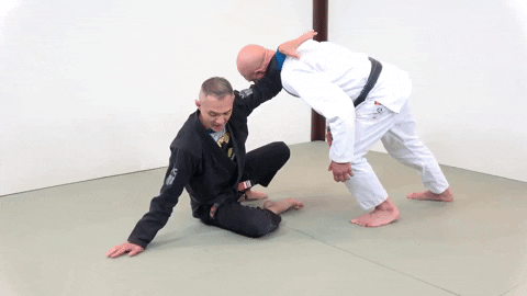 ritchieyip giphygifmaker bjj technical stand up GIF