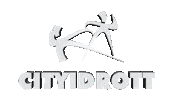 Cityidrott landskrona cityidrott Sticker