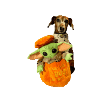 Baby Yoda Daschund Sticker by Geekster Pets