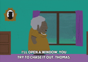 picture window GIF by South Park 