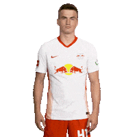 Posing Line Up Sticker by Bundesliga