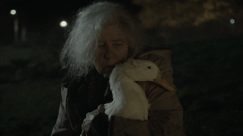 Duck Love GIF by Prime Video Canada