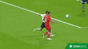 celebrate david james GIF by Star Sixes