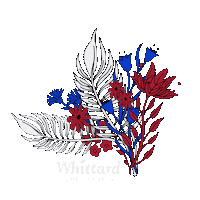 Great Britain Coffee Sticker by Whittard CZ