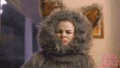 Cat What GIF