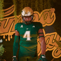 College Football GIF by USF Athletics