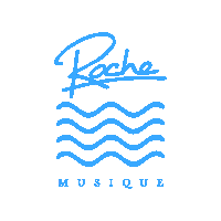 Roche_Musique music wave label musique Sticker