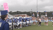 College Football GIF by Christopher Newport University