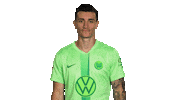 Football Looking Sticker by VfL Wolfsburg