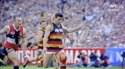 GIF by AFL