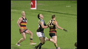 Afl Memories GIF by Adelaide Crows