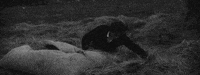 Film Stuff GIF
