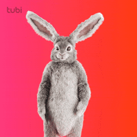 Thanks Thank You GIF by Tubi