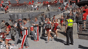 Ncaa Sports GIF by Ohio State Athletics