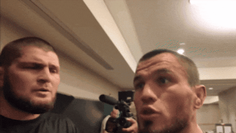 thecagereport giphyupload tcr khabib nurmagomedov umar nurmagomedov GIF