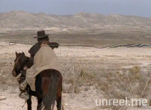 willie nelson GIF by Unreel Entertainment
