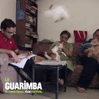 Go Away Wtf GIF by La Guarimba Film Festival